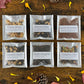 Fall Seasonal Sampler